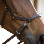 A Horseware Micklem Multi Bridle